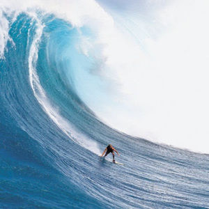 Meet your Posher, Adam